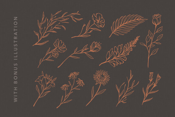 Meridian Beauty - Sophisticated Handwitten 