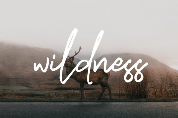Hogie Rough Script Handmade Font