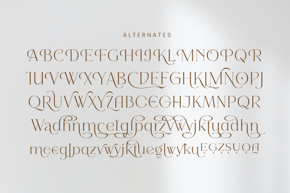 Morona - Elegant Serif