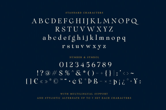 Sparky Dream - Curly Stylish Serif