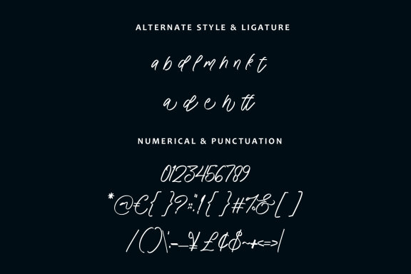 Vely Aliged Script Font