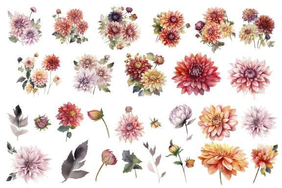 Dahlia flowers clipart, floral clip art, bouquets