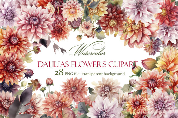 Dahlia flowers clipart, floral clip art, bouquets