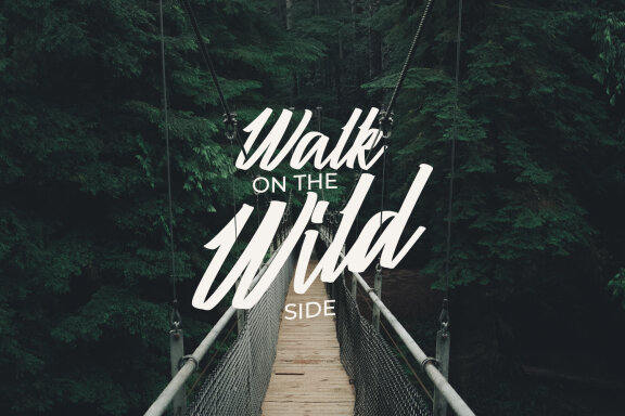 Calisher FREE Script Font