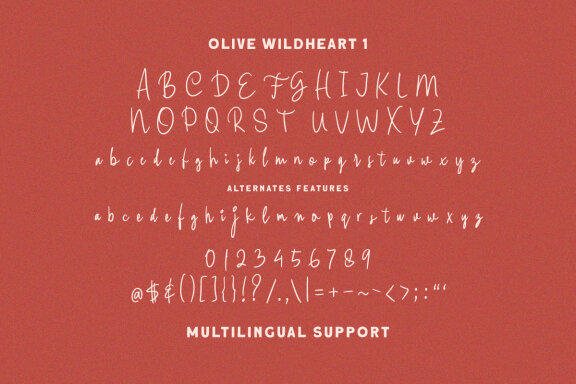 Olive Wildheart - Handwritten Font 