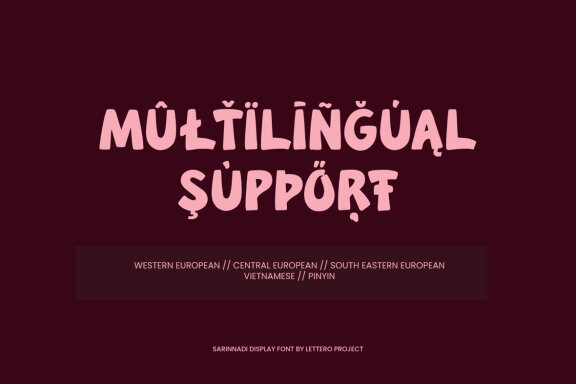 Sarinnadi Display Font