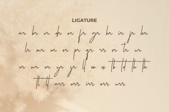 Philosophe Signature