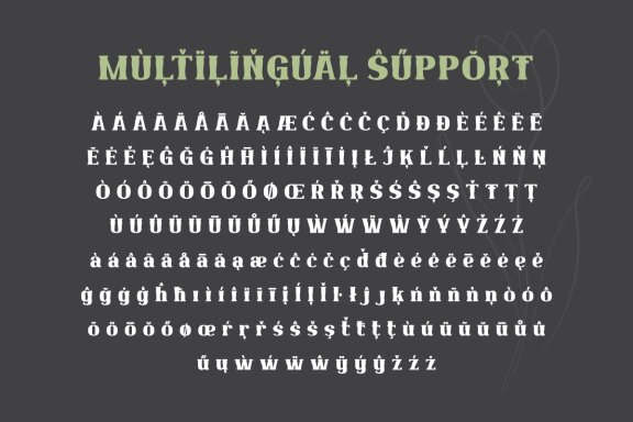 Qekruz | Serif Classic Modernism