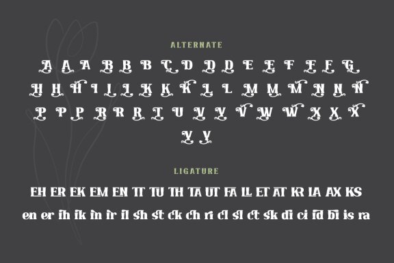Qekruz | Serif Classic Modernism