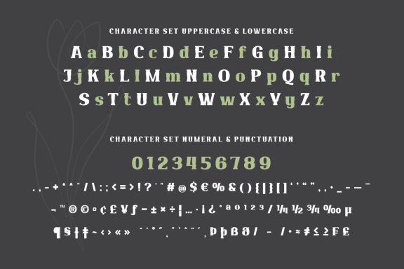 Qekruz | Serif Classic Modernism