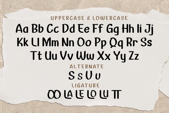 SEDOYA | Handwritten Display