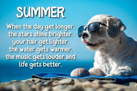 Tenky | Summer San Serif Display