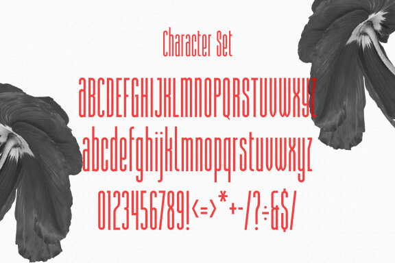 Kyosta Compressed Sans Font