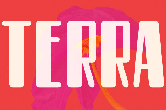 Groens Sans Display FREE Font