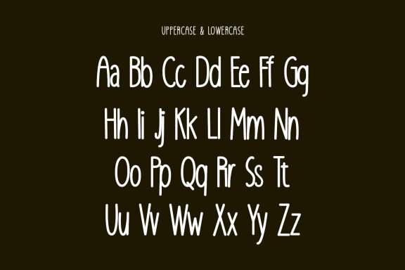 Camisol Fabric Monoline Sans Font