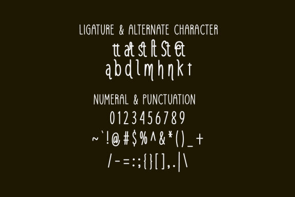 Camisol Fabric Monoline Sans Font