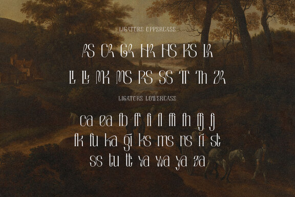 Chamberlain Condensed Display Serif