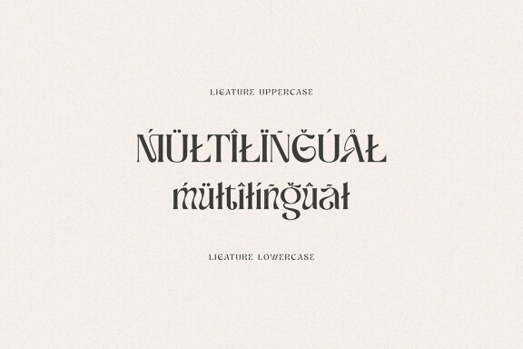 Ragnheidr Unique Serif