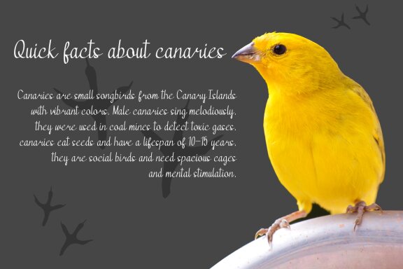 Bangar - Handwritten Font