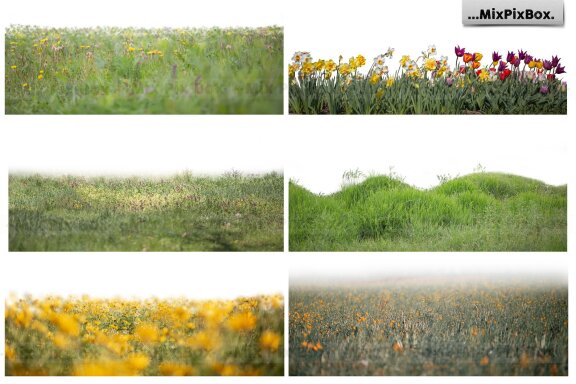 Flowers and Grass Overlays