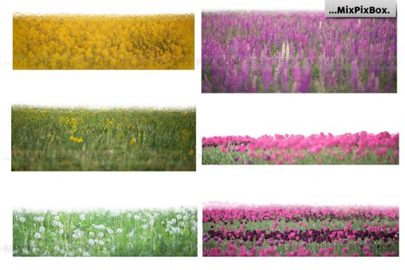 Flowers and Grass Overlays