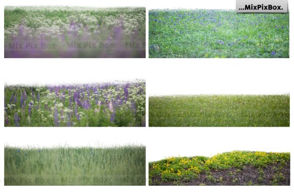 Flowers and Grass Overlays