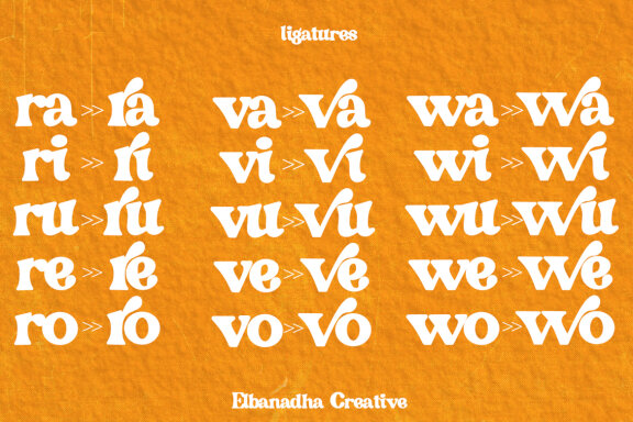 BEVIKARI – CLASSY SERIF FONT