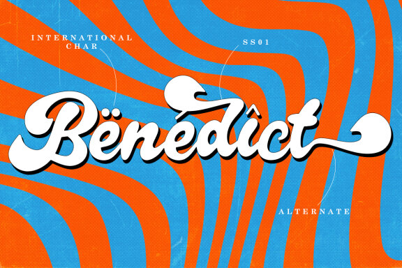 MEYDISON – RETRO GROOVY SCRIPT FONT