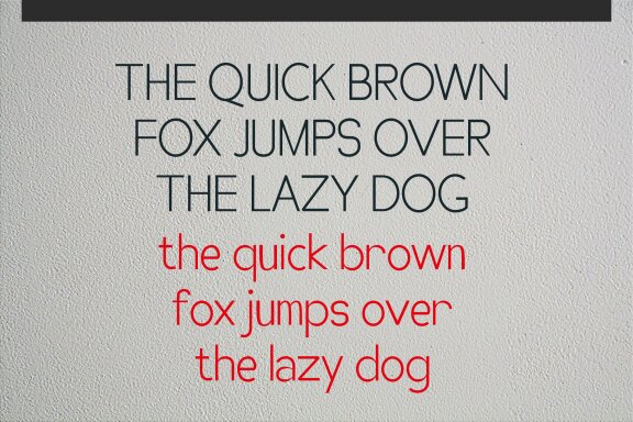Zeenn | Sans Serif Font