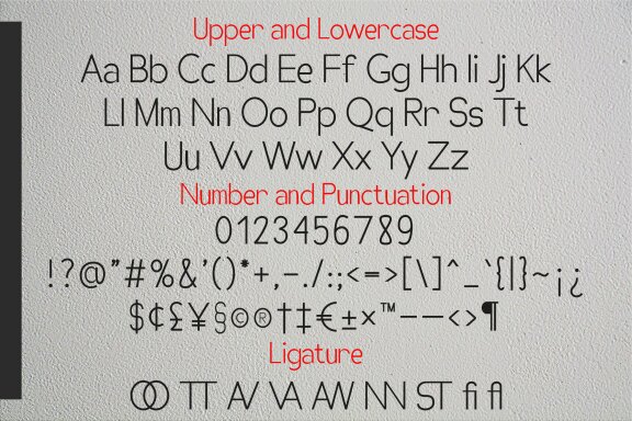 Zeenn | Sans Serif Font