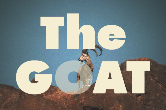 Polette Geometric Sans Serif Font