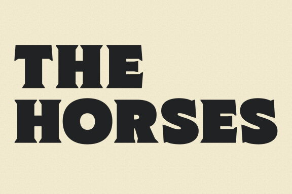 Norgen Heavy Serif Font