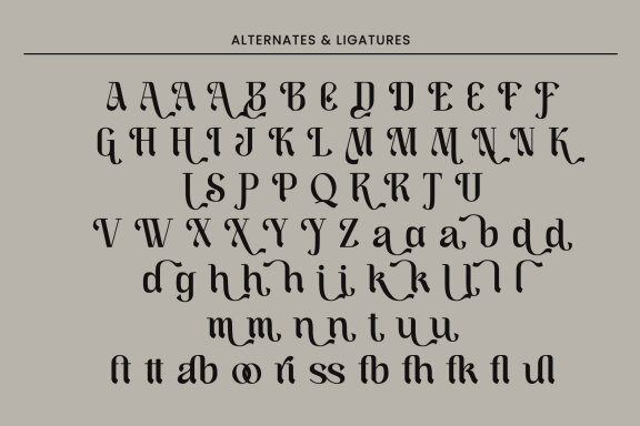 Rheaski - Modern Serif Display Font