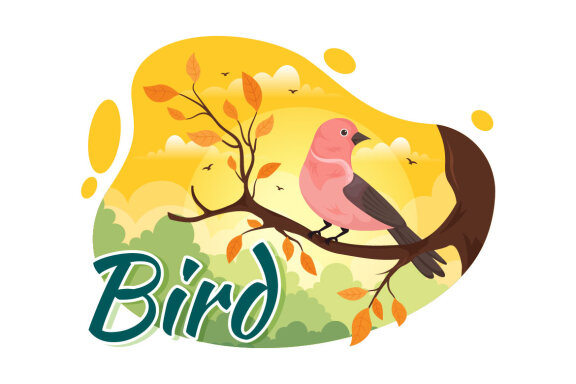 11 Bird Animal Vector FREE Illustration