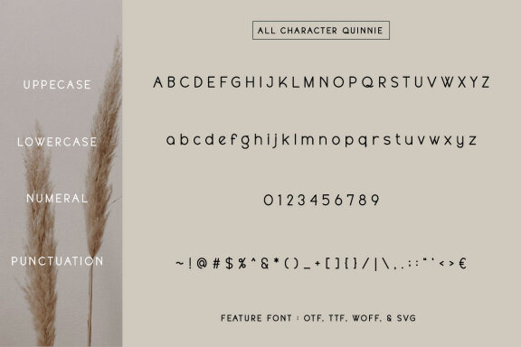 Quinnie Font
