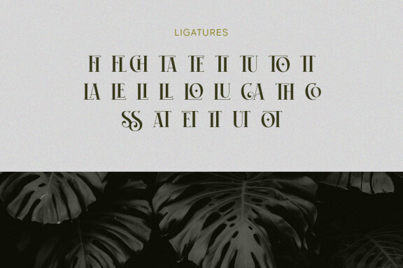 Britnes Grade - Stylish Serif Typeface