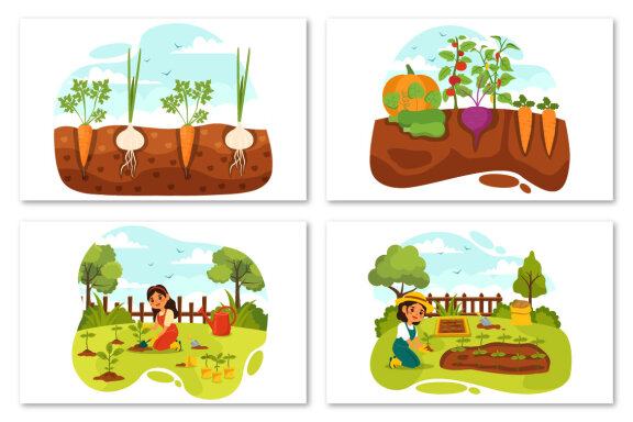 11 Growing Vegetables Illustration