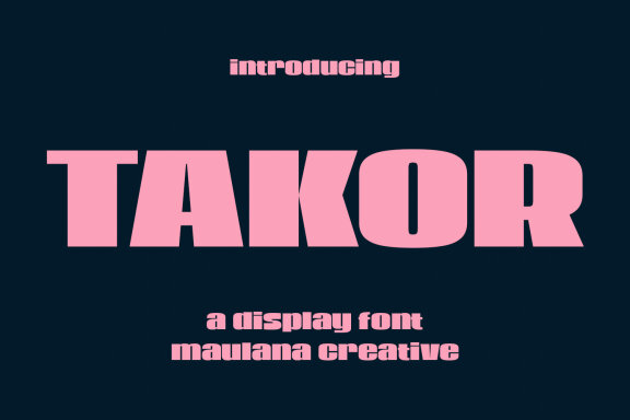 Takor Sans Display Font