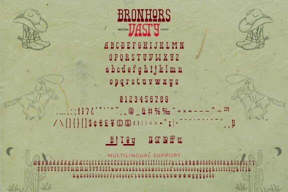 Bronhors Vasty - Western