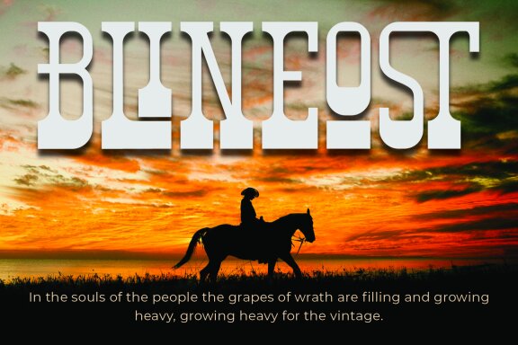 Bronhors Vasty - Western