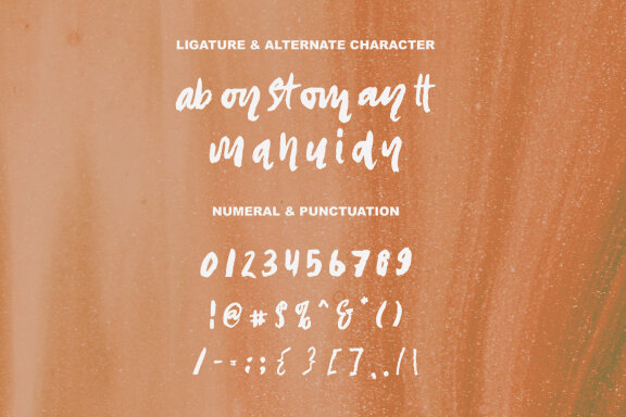 Sero Aromad Brush Script Font