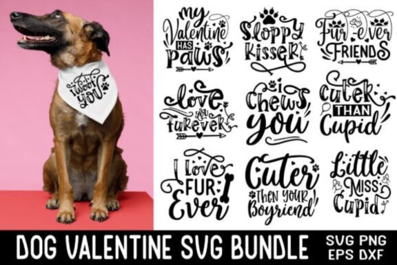 Valentine Dog svg Bundle, Dog Valentine SVG