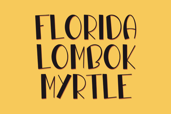 Summera Places Summer Display Font
