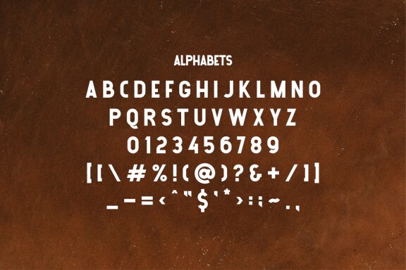 Panthera Monoletter Font