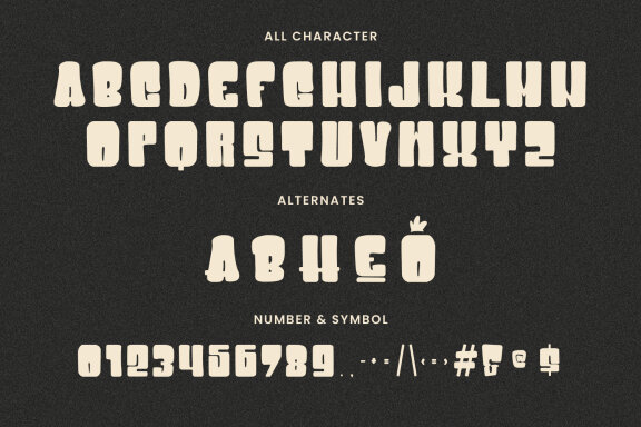 Heibua Groovy Display Typeface