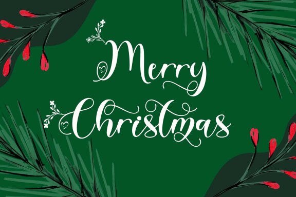 Christmas Garden