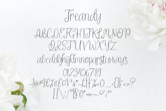 Treandy