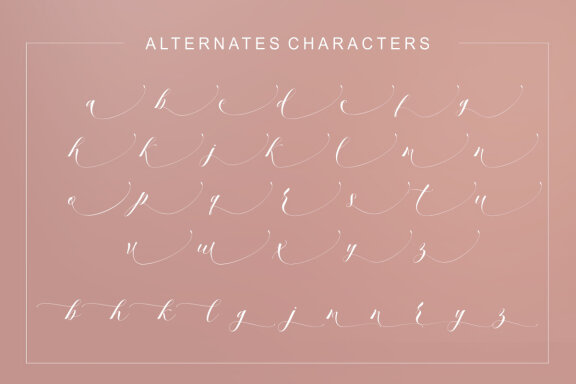 Ambition Bright Script