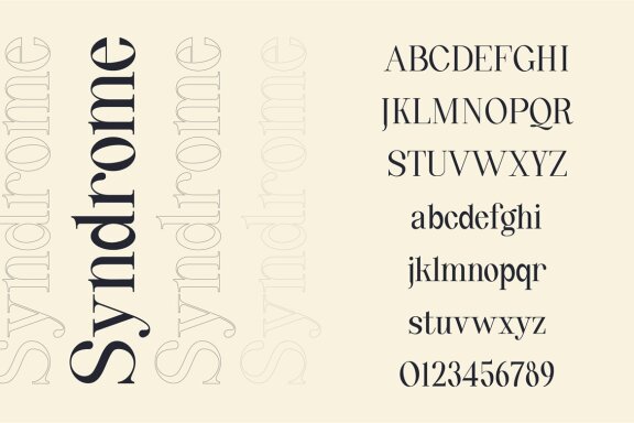 Quinty a Luxury Serif Font Family