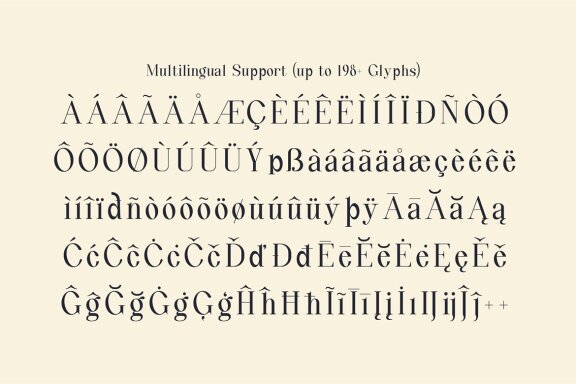 Quinty a Luxury Serif Font Family